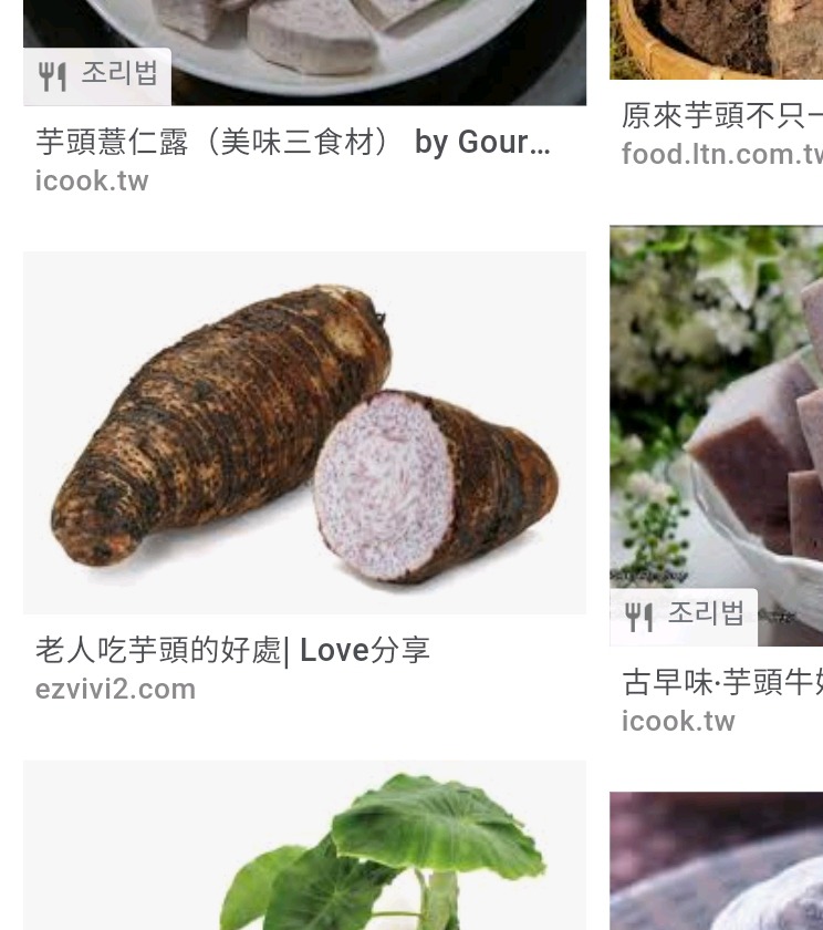 타로 밀크티의 '타로'는 무엇일까??🤔 | 인스티즈