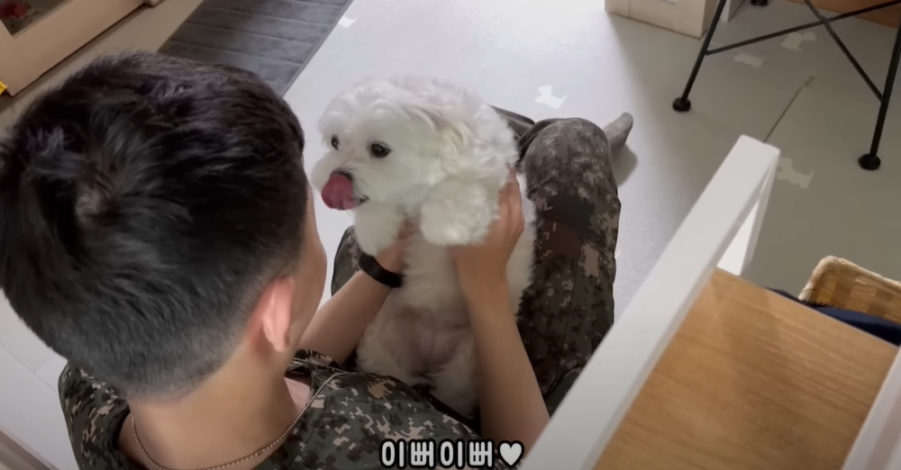 오빠 군대간 줄 모르고 밤새 기다리던 강아지네 오빠 드디어 첫 휴가.jpg | 인스티즈