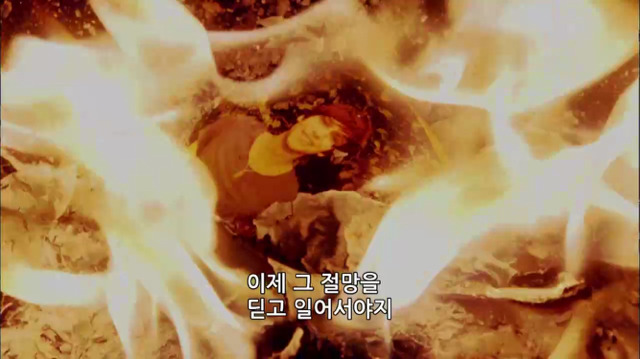 [스킨스] 아무리 최선을 다 해도 내가 할수 없는 일 | 인스티즈