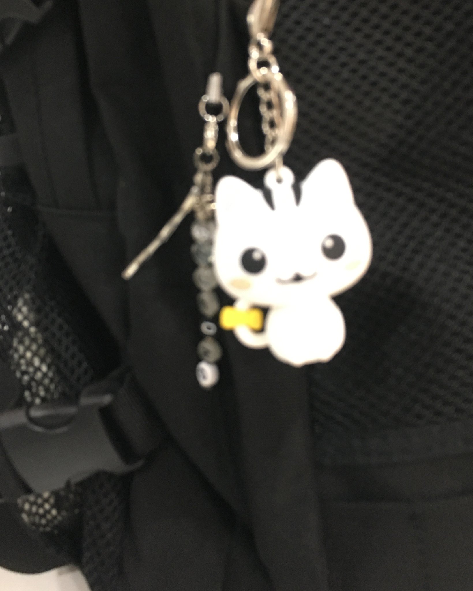 고양고양이 컴백!! | 인스티즈