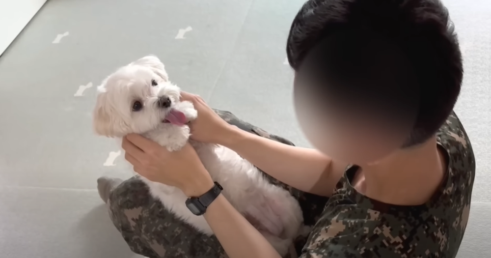 오빠 군대간 줄 모르고 밤새 기다리던 강아지네 오빠 드디어 첫 휴가.jpg | 인스티즈