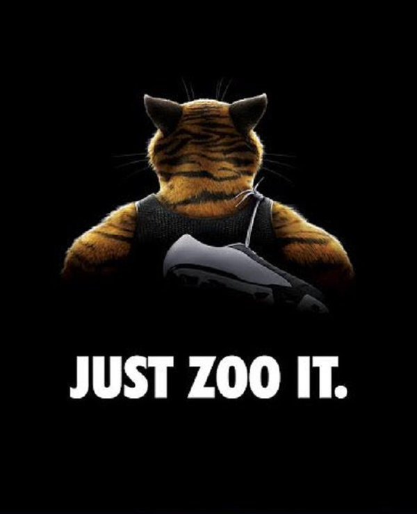 [주토피아가이드10탄] 주토피아의 연예계에 대해서 알아보자! (feat.가젤언니) | 인스티즈