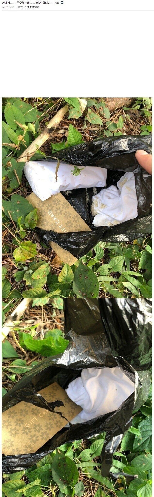 산에서 돈주웠는데 이거 뭐임..? | 인스티즈