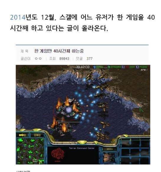 디씨 스갤 스타크래프트 40시간 동안 플레이 한 레전드사건 | 인스티즈
