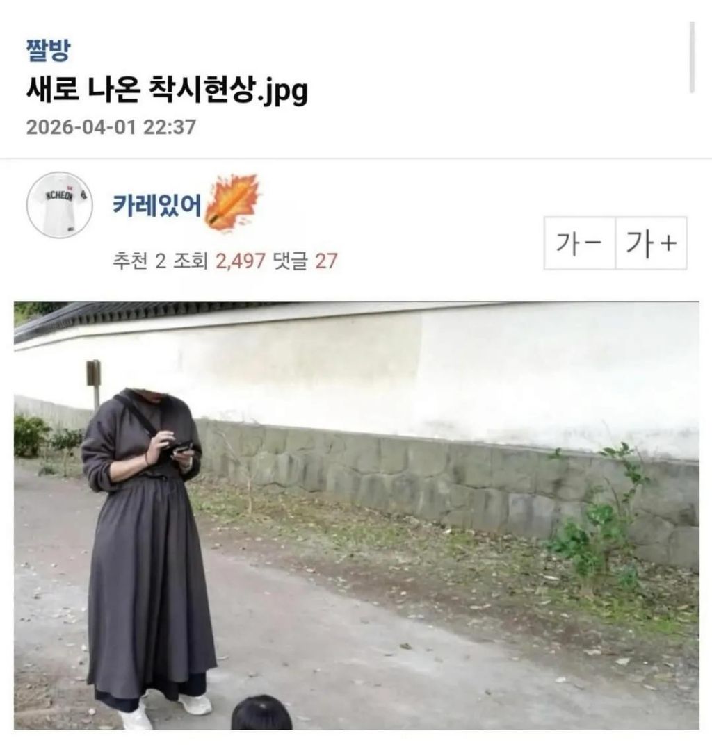 새로 나온 착시현상.jpg | 인스티즈