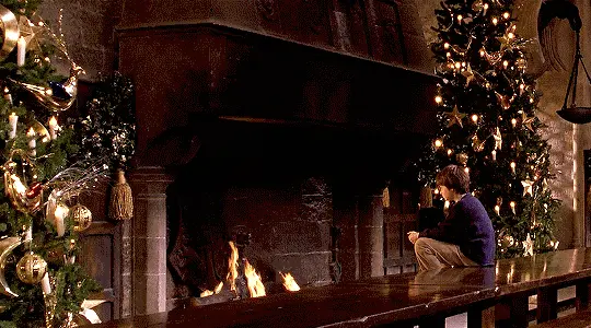 해리포터 마법의 돌 확장판에만 있다는 장면.gif | 인스티즈