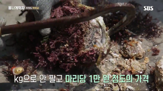 추자도 바위굴 먹는 트와이스 정연X다현.jpg | 인스티즈