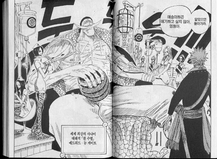 원피스 첫등장 임팩트ㄷㄷㄷ甲은? | 인스티즈