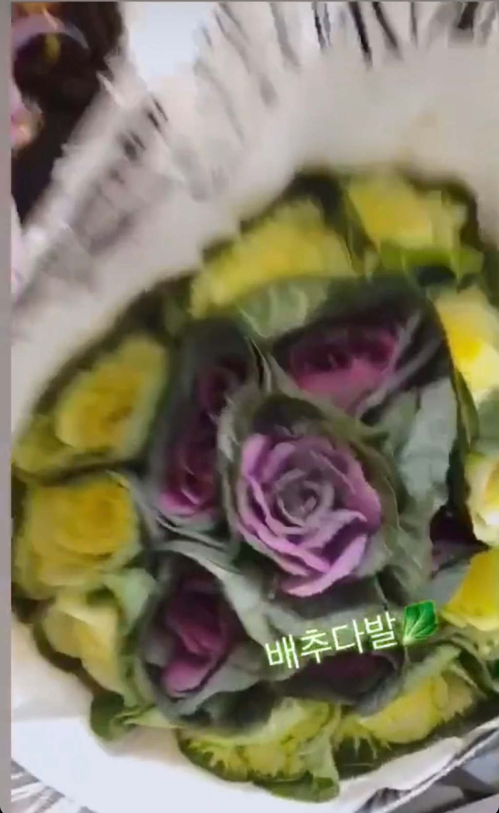 콘서트때 친구들한테 꽃다발 대신 배추다발 받은 아이린 | 인스티즈