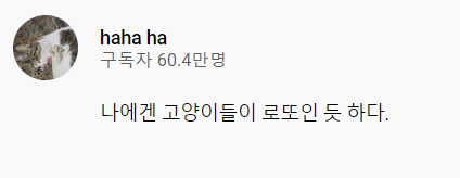 고양이들에게 번호를 추천 받고 로또를 산 haha ha님 | 인스티즈