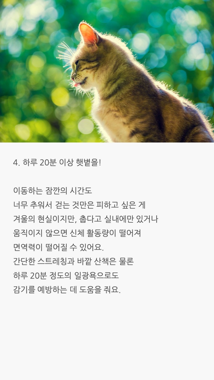 감기에 잘걸리는 사람이 알아둬야할 생활습관 | 인스티즈