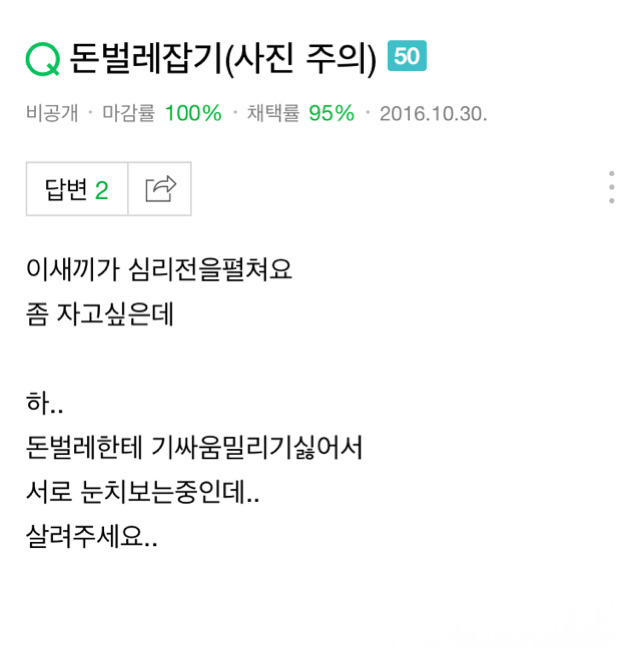 지식인 : 돈벌레 어떻게 잡아요? (심금 주의) | 인스티즈