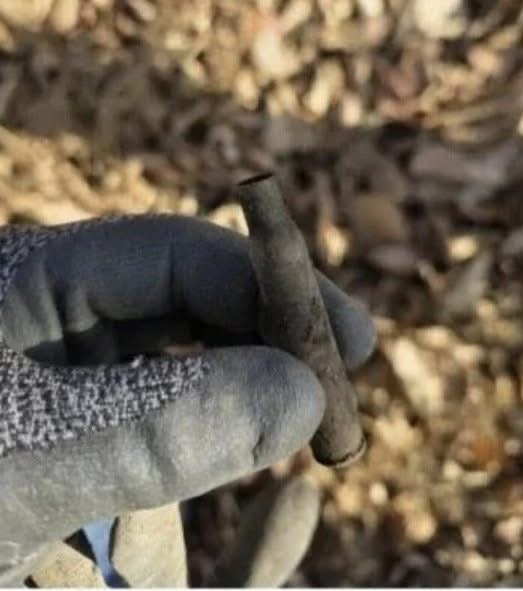 등산하다 군용품 발견함 | 인스티즈