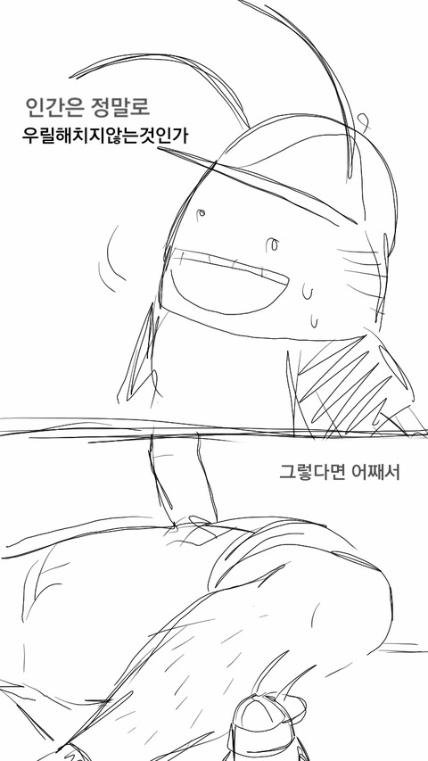 지식인 : 돈벌레 어떻게 잡아요? (심금 주의) | 인스티즈