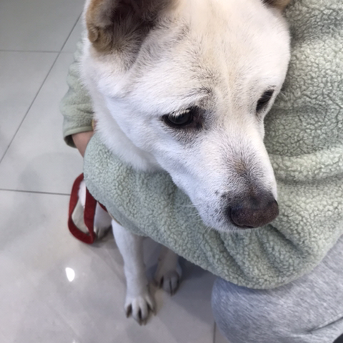 우리 애 아빠 보는 눈빛 봐 | 인스티즈