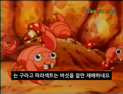 포켓몬스터 괴담 - 파라섹트의 진실 | 인스티즈