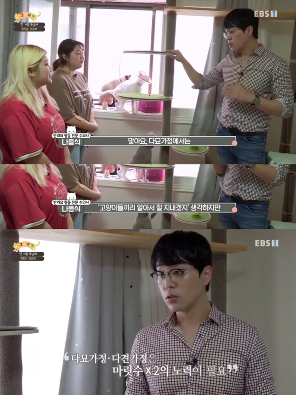 [고부해] 다묘가정의 흔한 실수.jpg | 인스티즈