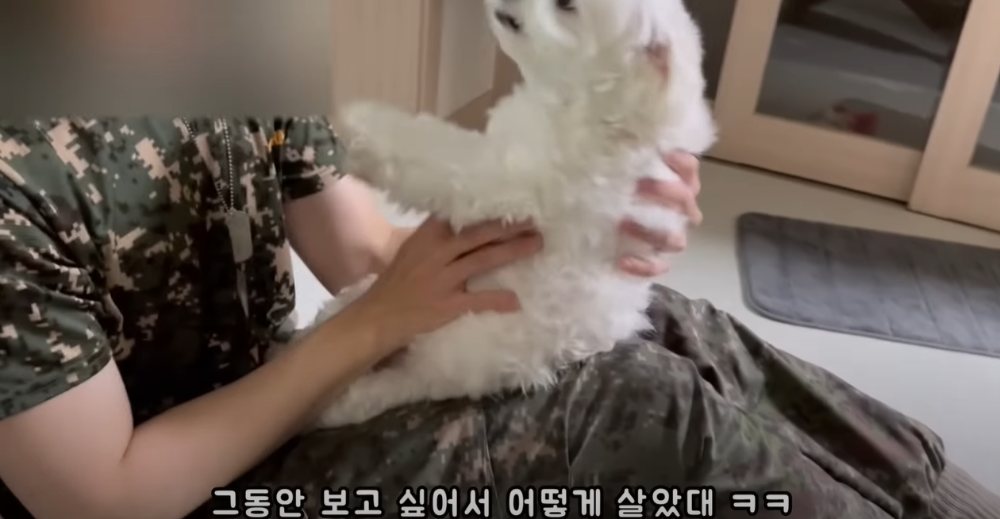 오빠 군대간 줄 모르고 밤새 기다리던 강아지네 오빠 드디어 첫 휴가.jpg | 인스티즈