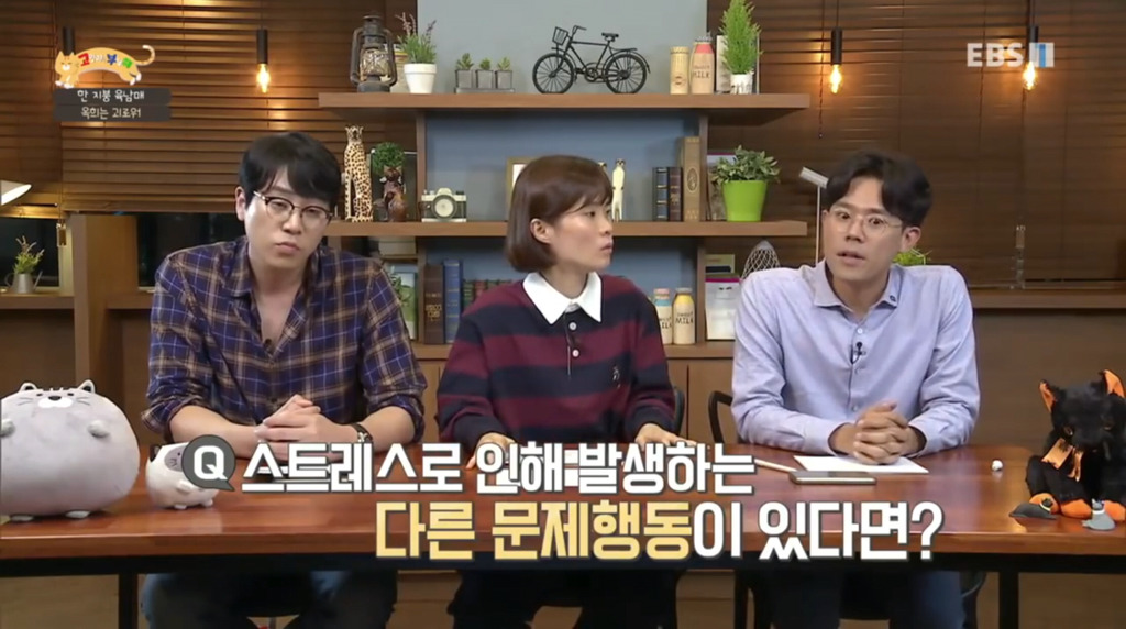 [고부해] 다묘가정의 흔한 실수.jpg | 인스티즈