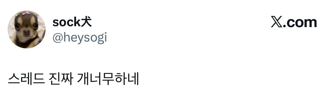 대답 해 시벌아 | 인스티즈
