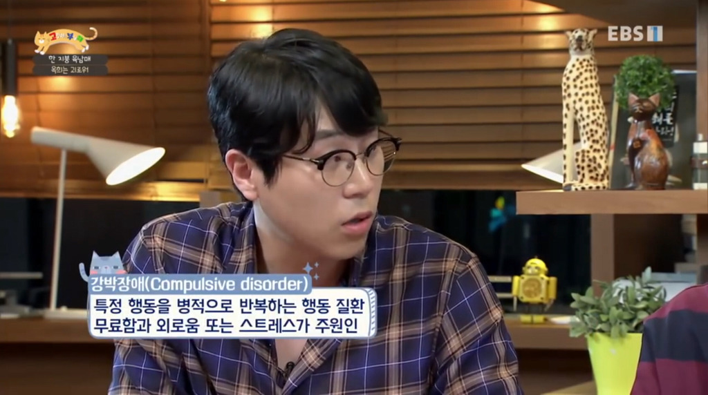 [고부해] 다묘가정의 흔한 실수.jpg | 인스티즈