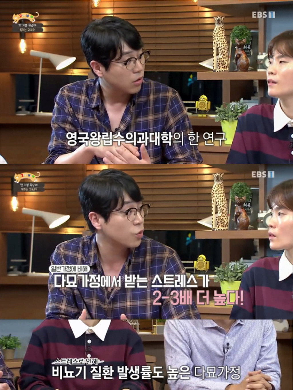 [고부해] 다묘가정의 흔한 실수.jpg | 인스티즈