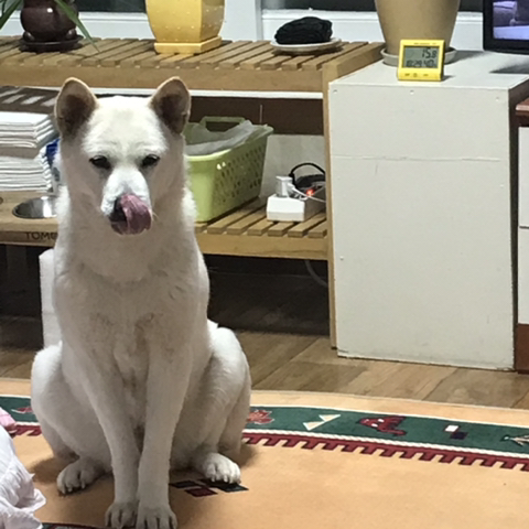 우리 애 아빠 보는 눈빛 봐 | 인스티즈