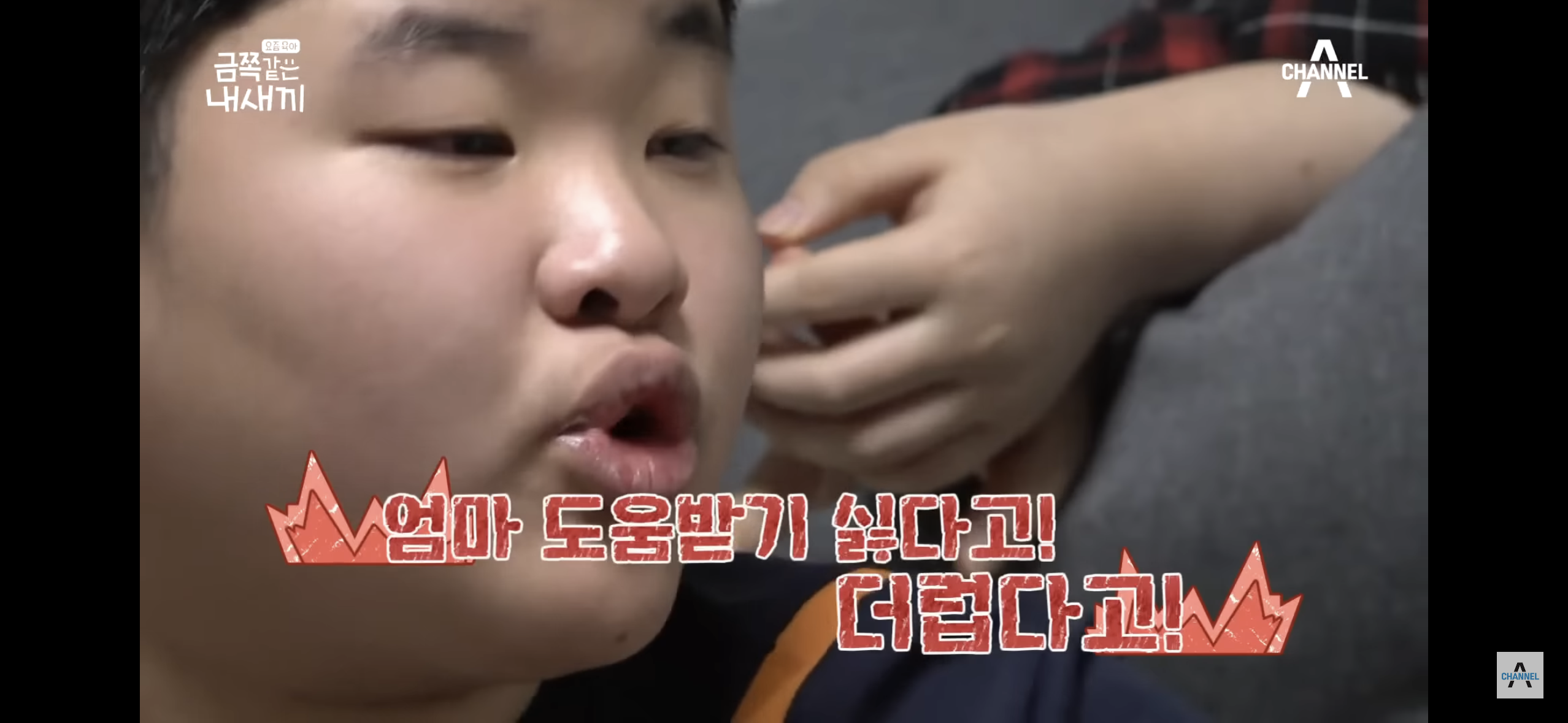 [금쪽같은내새끼] "엄마 도움 더럽다고!”, 몰래 소액결제로 600만원을 사용한 금쪽이 | 인스티즈