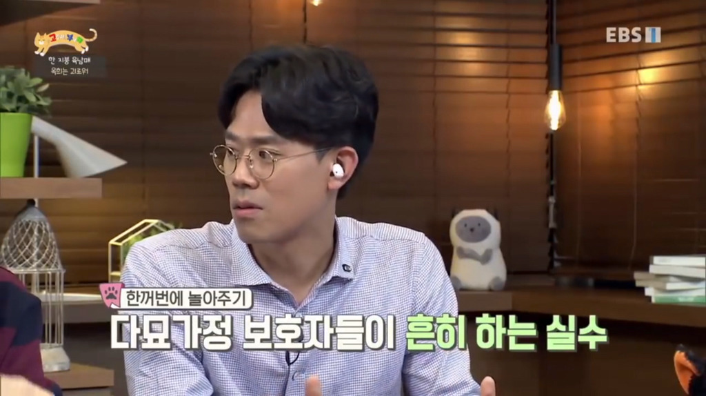 [고부해] 다묘가정의 흔한 실수.jpg | 인스티즈