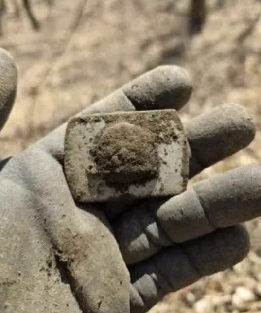 등산하다 군용품 발견함 | 인스티즈