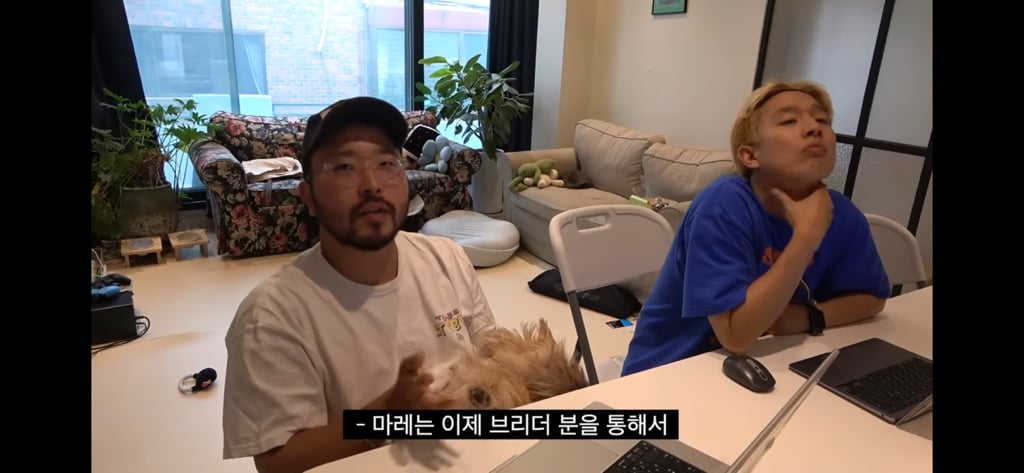 요즘 빠더너스 채널에 자주 등장하는 브리더통해서 임보(?)중인 강아지 마레 | 인스티즈