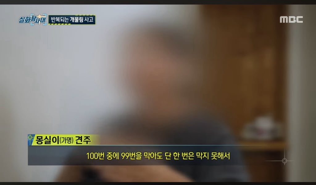 개물림 사고 낸 인플루언서견 : 유기견이니까 탈출해서 공격하고 싶은 본능이 있는 것, 다 못막는다(어제 방송에서 인터뷰함) | 인스티즈