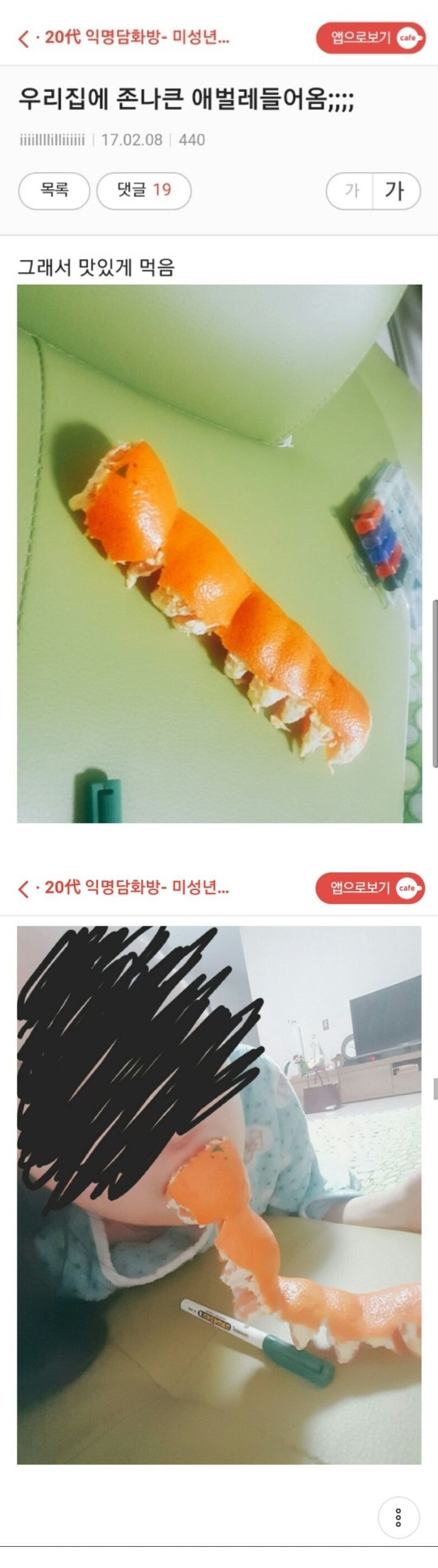 얘들아 제발 들어와줘 저런 진짜 심각해 좆됬어 ㅋㅋㅋㅋㅋㅋ | 인스티즈