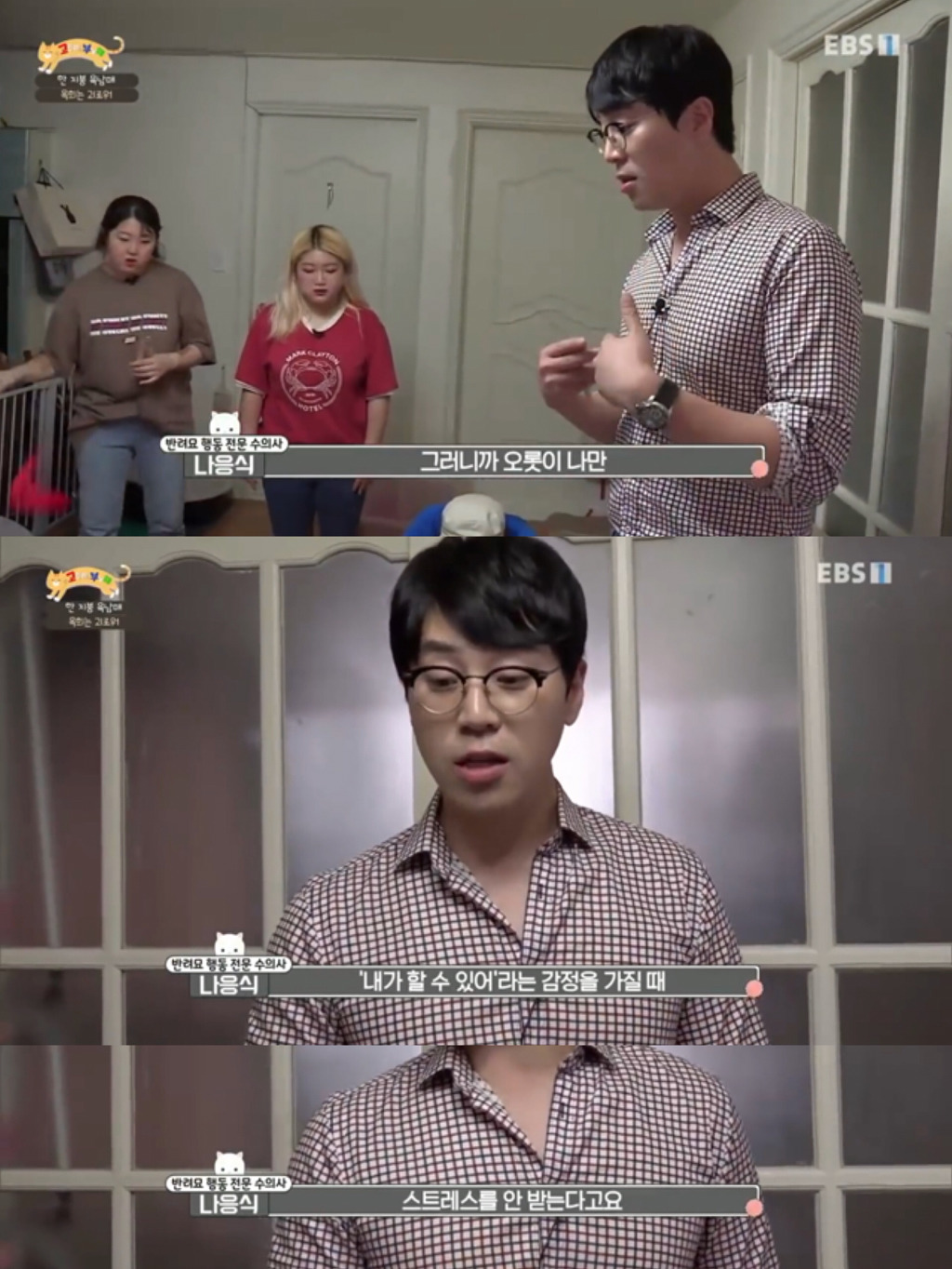 [고부해] 다묘가정의 흔한 실수.jpg | 인스티즈