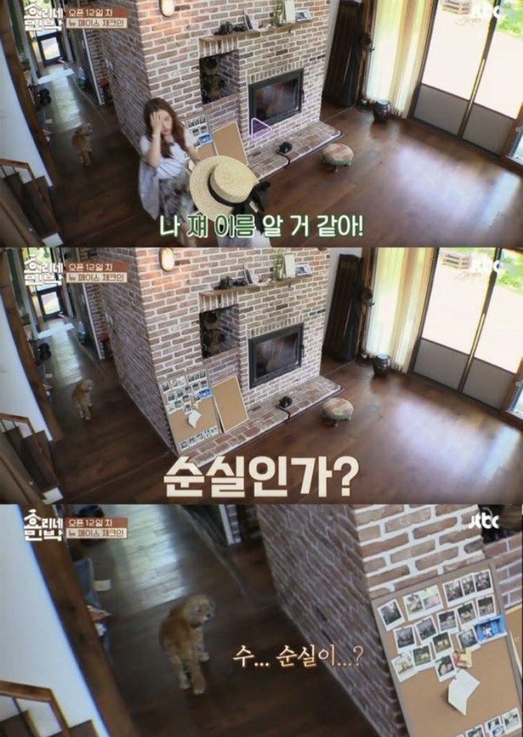 효리네 친박 | 인스티즈