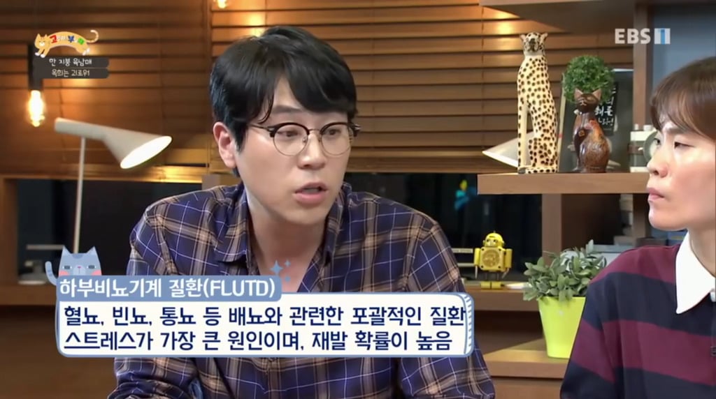 [고부해] 다묘가정의 흔한 실수.jpg | 인스티즈