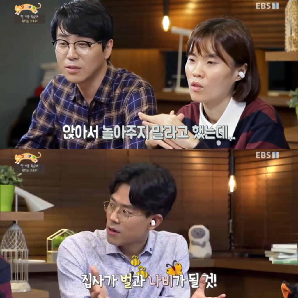 [고부해] 다묘가정의 흔한 실수.jpg | 인스티즈