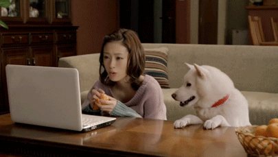 대표적인 친한파 일본 여배우 | 인스티즈