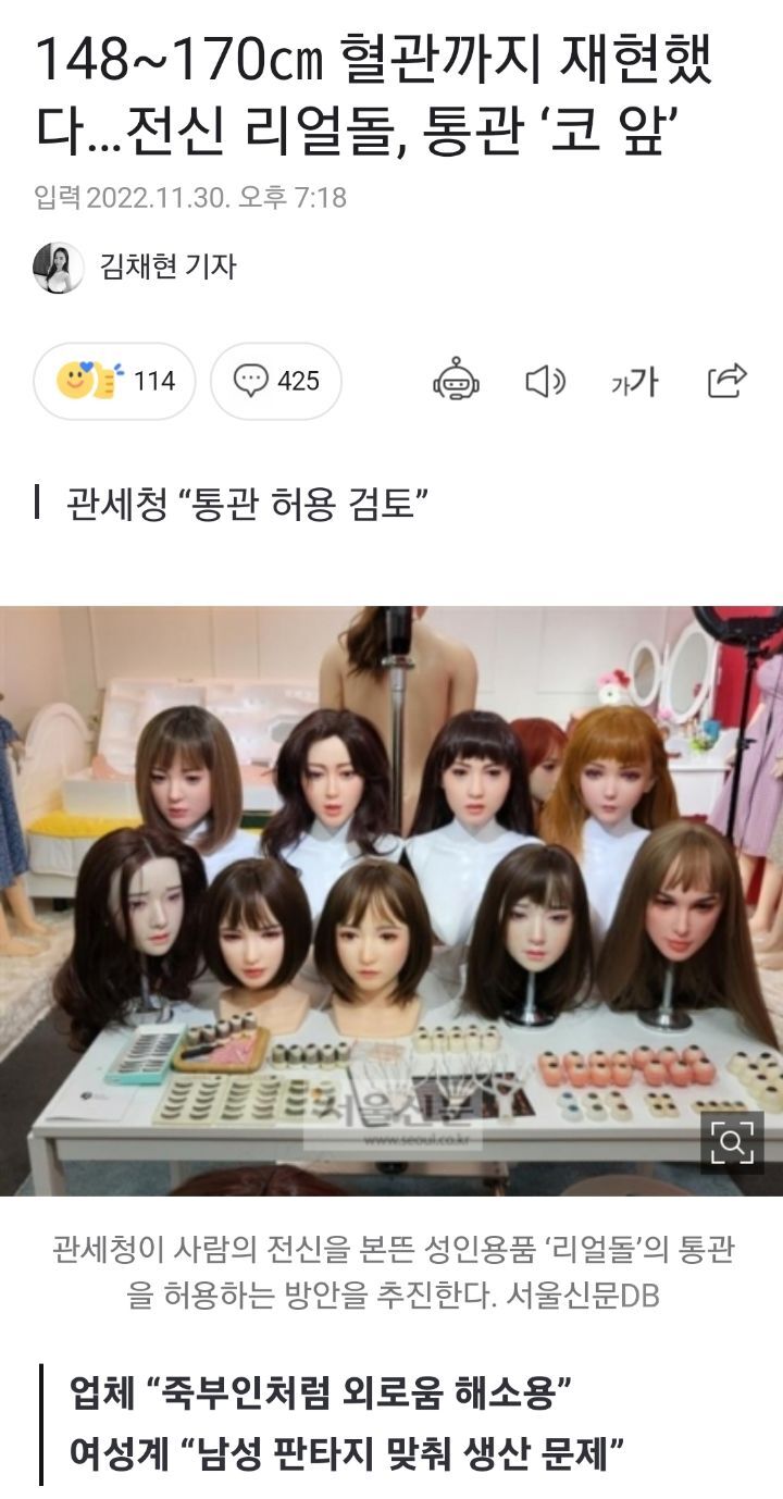 148~170㎝ 혈관까지 재현했다…전신 리얼돌, 통관 '코 앞' | 인스티즈