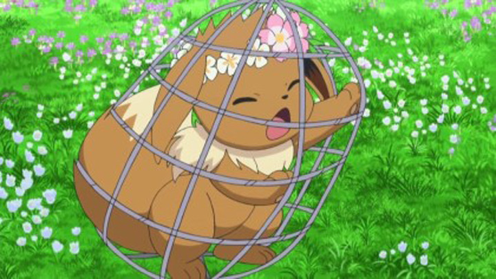 [포켓몬스터] 정말 충격적으로 예쁘고 귀여운 이브이 | 인스티즈