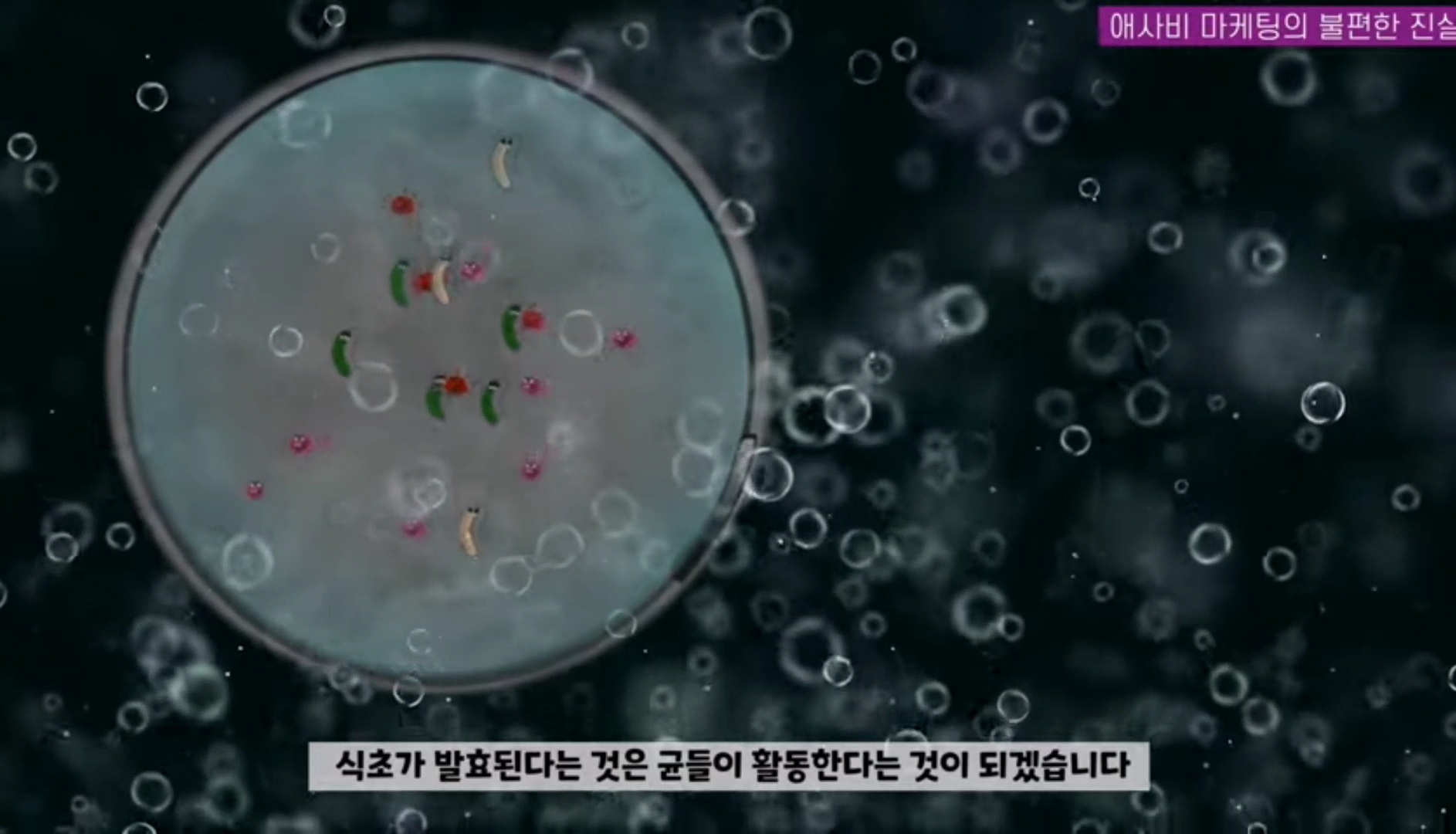애사비(애플사이다비니거) 진짜 효과 있을까? | 인스티즈