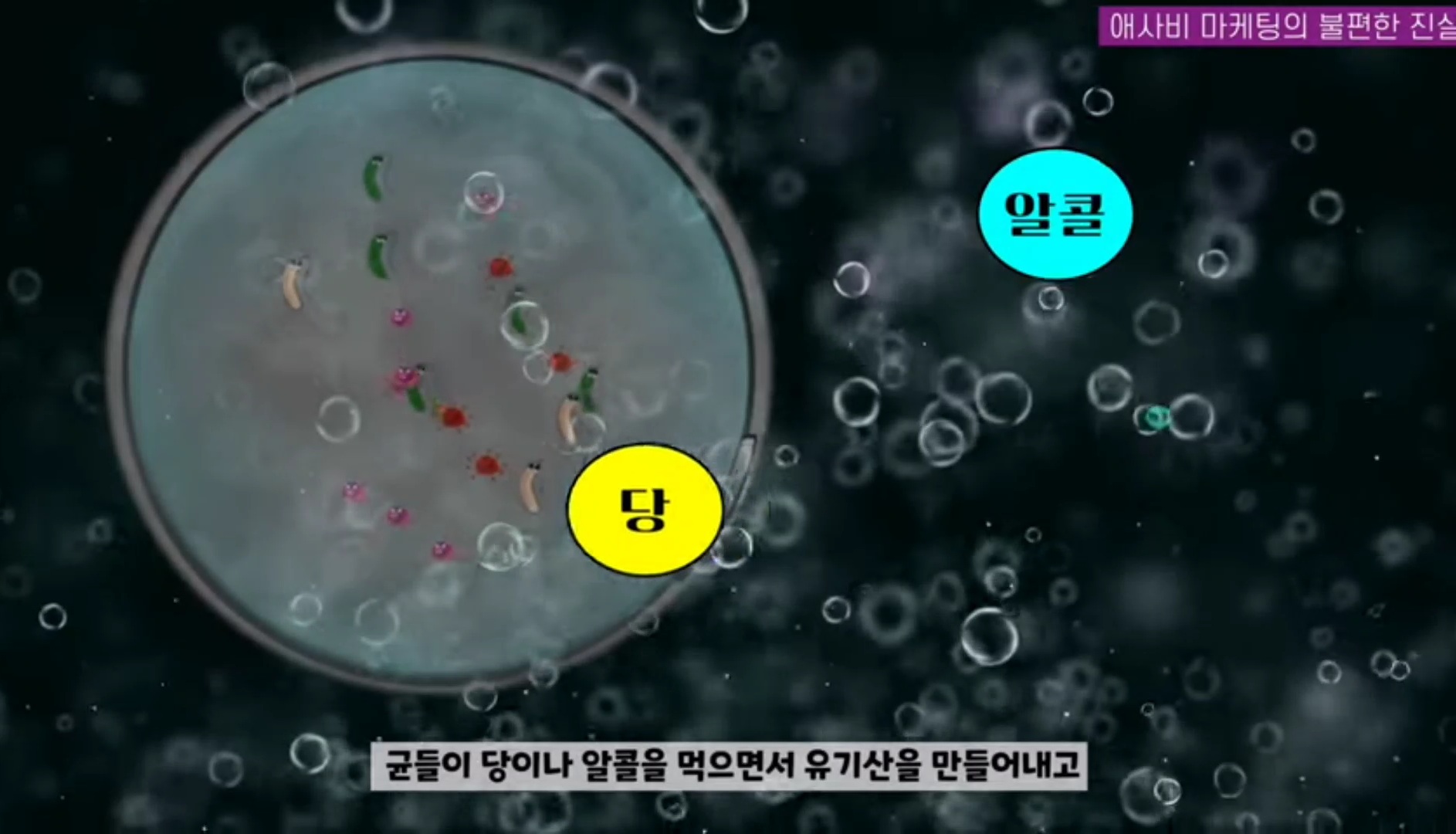 애사비(애플사이다비니거) 진짜 효과 있을까? | 인스티즈