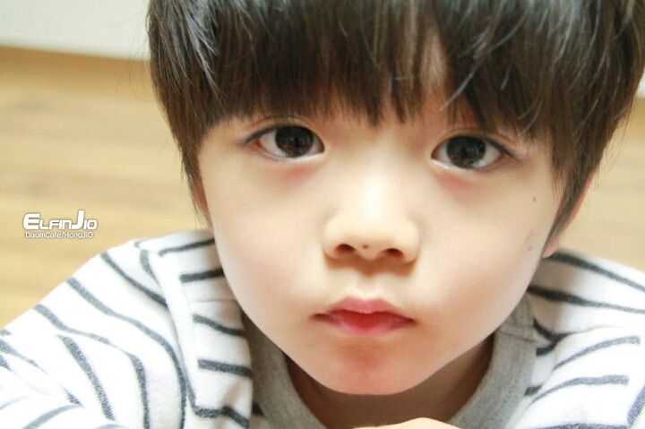 귀+심쿵사 반도의 남자 애기들 jpg | 인스티즈