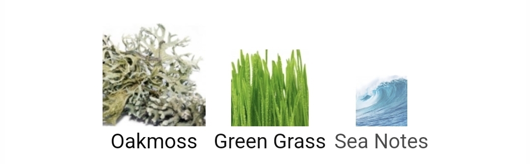 흙냄새 풀냄새 나는 자연적인 느낌의 향수들.jpg | 인스티즈