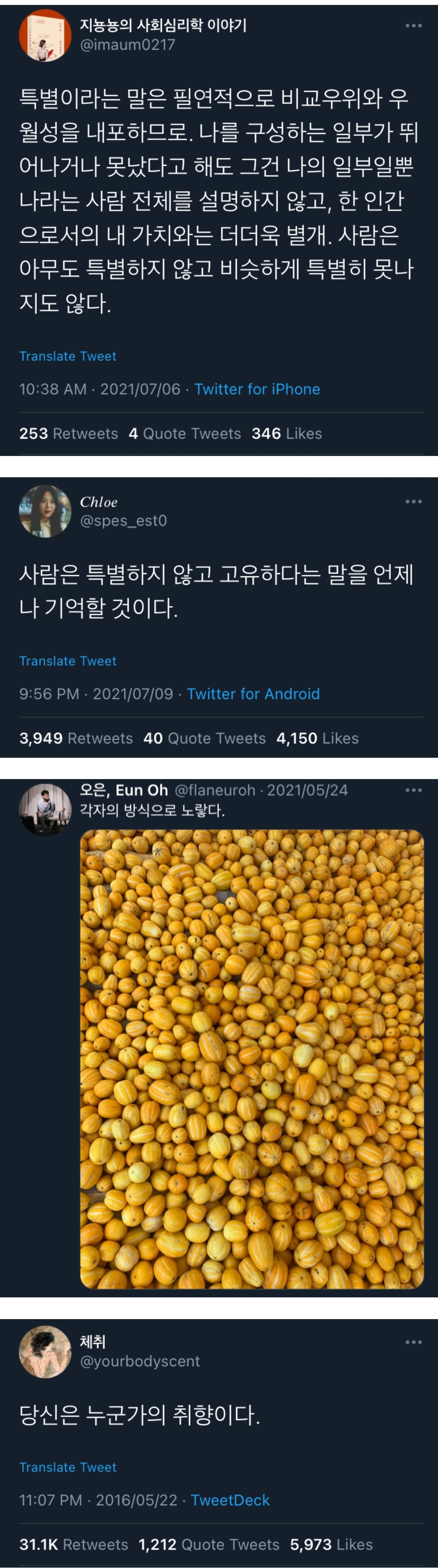 나는 누군가의 취향이다.twt | 인스티즈