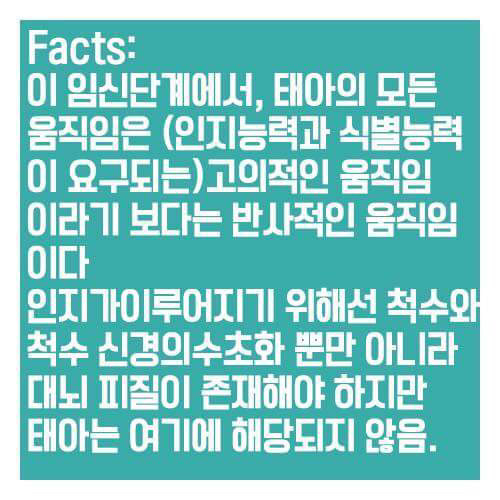 어릴적부터 여자들에게 세뇌시키듯 보여준 낙태비디오의 진실 | 인스티즈