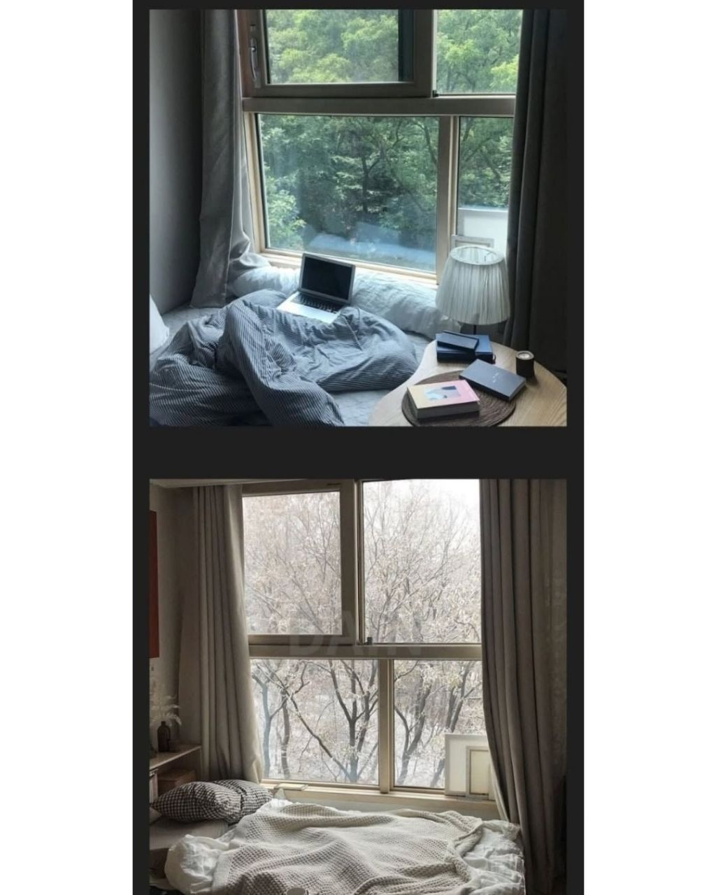 취향 탄다는 원룸 통창 구조 | 인스티즈