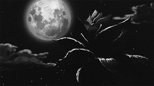 꿈에서 마주치는 것들은 왜 하나같이 내 것이 아닐까 | 인스티즈