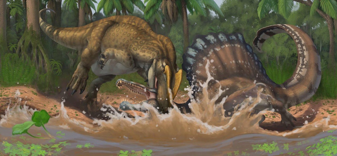 코끼리도 찢어죽일 수 있는 아프리카 최강의 포식자 | 인스티즈