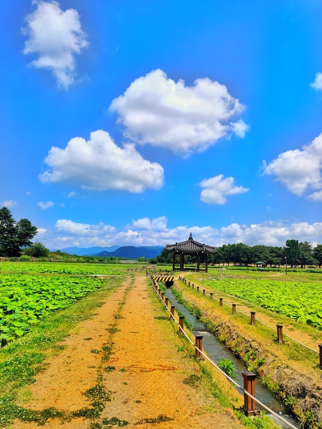 외국인들이 찍은 경주 여행 사진 | 인스티즈